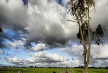 建立健全基本殡葬服务制度 更好实现“逝有所安”