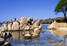 《住房租赁条例》施行两月，如何更好推动新规落地？